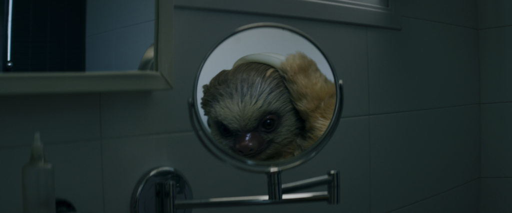 a sloth looks in the mirror at his hair for the sloth Nicky Jam music video in mallorca